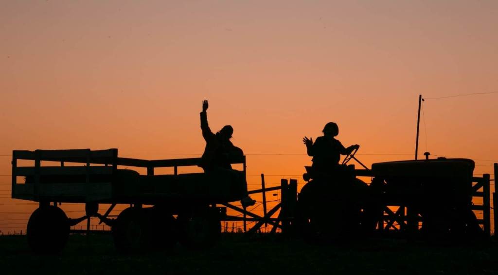 Junín y Bragado se preparan para recibir a miles de visitantes en octubre con dos eventos turísticos destacados: la Fiesta del Cosechero en Morse y la Fiesta del Caballo en Bragado. (Foto: La Granja).