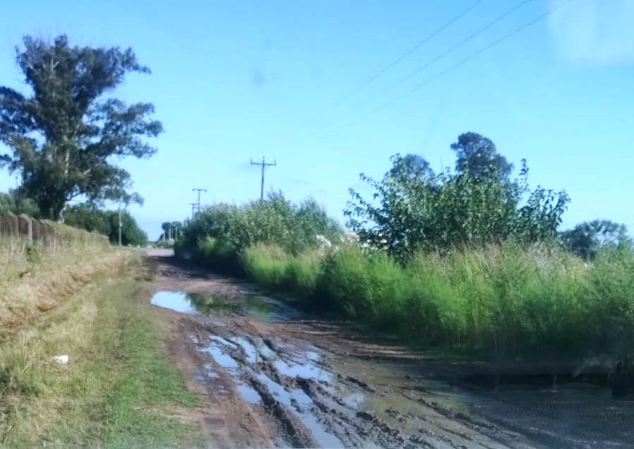 «El 100% de la tasa vial debe destinarse al mantenimiento de los caminos rurales», exige la Sociedad Rural de&nbsp;Junín