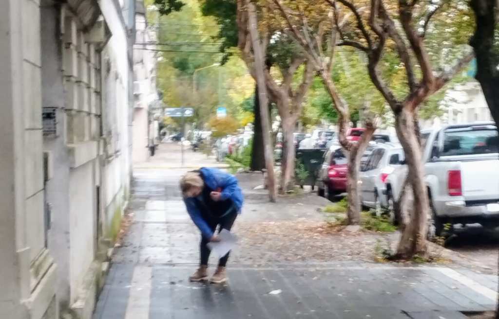 Invasión de insectos en Junín: típulas y mosquitos generan molestias y sigue el alerta por el&nbsp;dengue