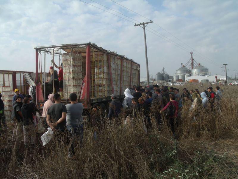 Impactante saqueo en la Ruta 31: vecinos despojaron un camión volcado con pollos de&nbsp;SoyChú