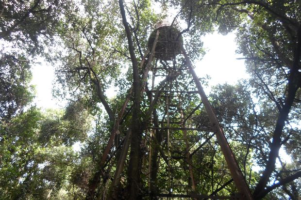 La trágica historia de las ruinas de Montelén, Bragado. Cómo llegar a la estancia y los días y horarios de visita. 