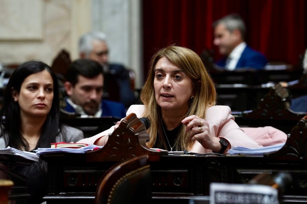 «Un titular de cátedra, con doctorado, cobra lo mismo que un jefe de despacho de un diputado», punzó Danya Tavela sobre el financiamiento&nbsp;universitario