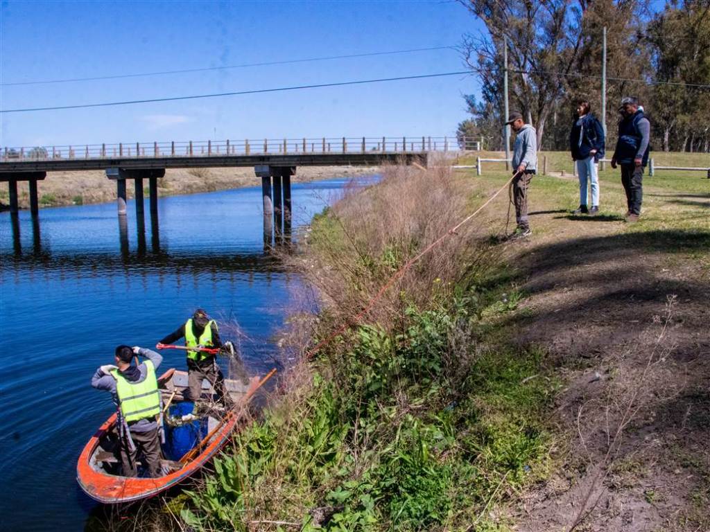 Gobierno y cooperativa limpian el río Salado: Retiran toneladas de basura y hacen un llamado de atención a los vecinos para cuidar el ambiente. Operativo seguirá en octubre.