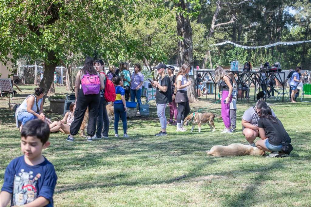 Gran convocatoria en la jornada para promover la adopción responsable de perros y concientizar sobre el cuidado&nbsp;animal