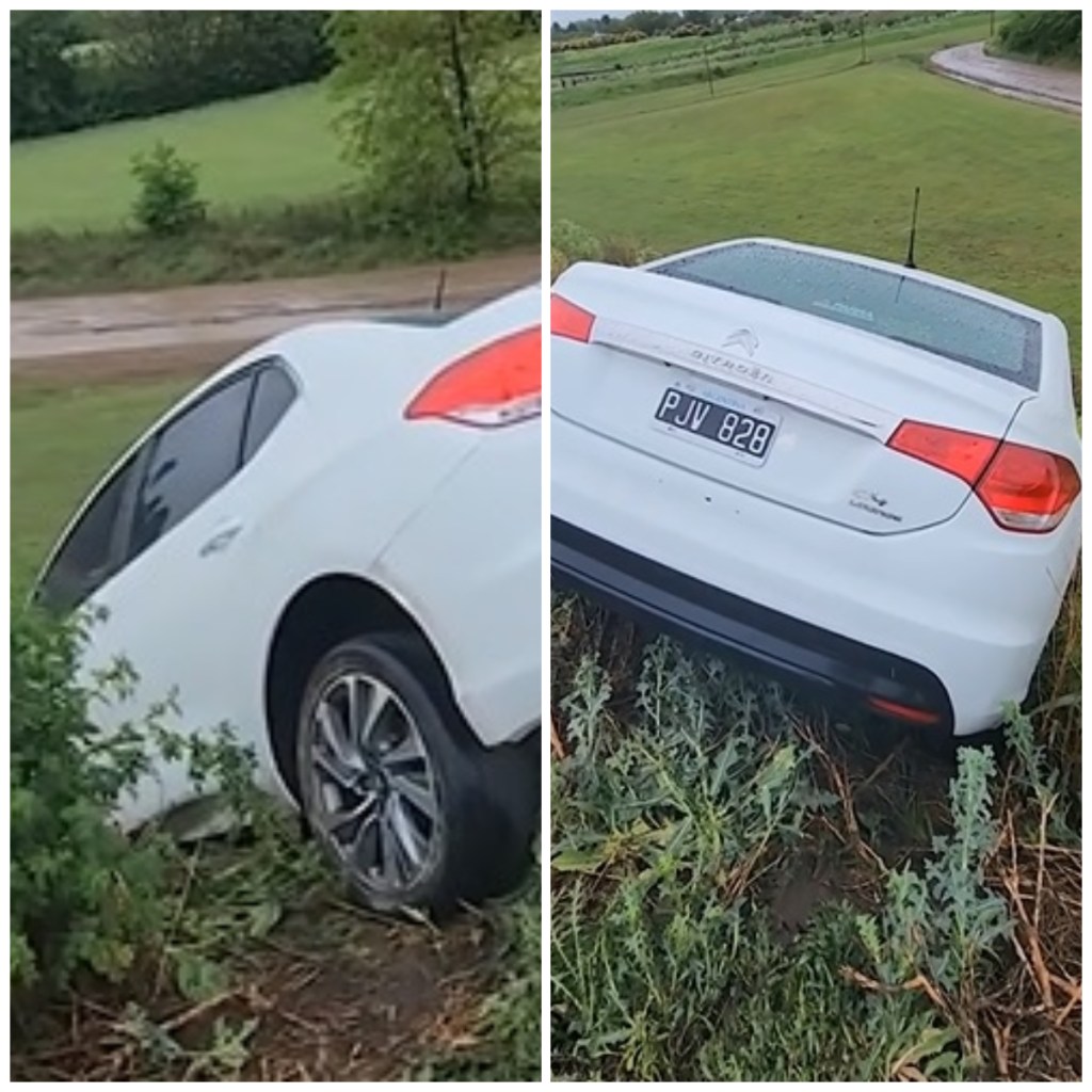 Un auto estuvo al borde del desastre en el Puente del Carpincho (Fotos: captura de video de J24).