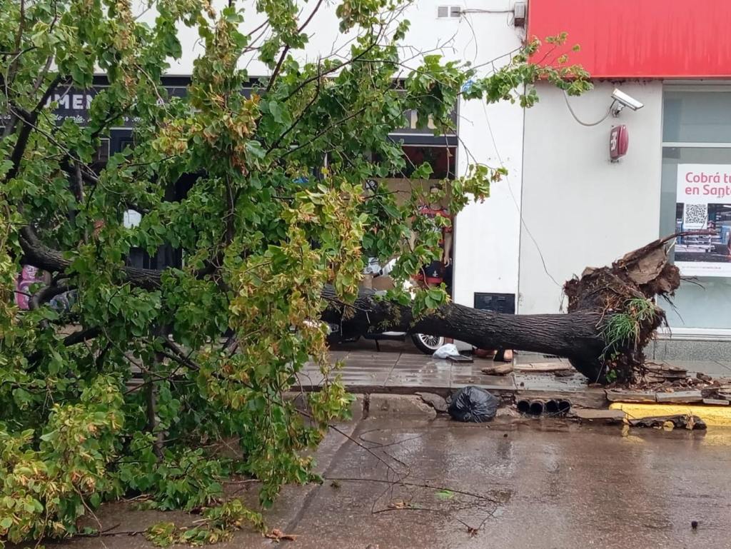 Las imágenes del desastre: las fotos más impactantes del temporal en&nbsp;Bragado