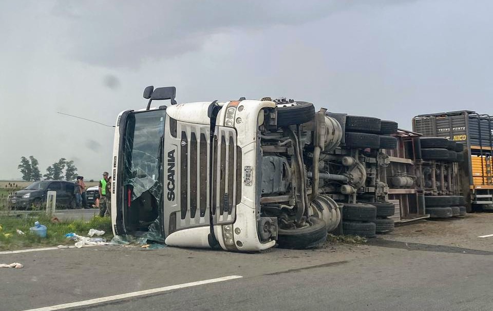 Terrible vuelco de un camión con ganado vacuno en la autopista 7: decenas de animales muertos quedaron tendidos en la&nbsp;banquina