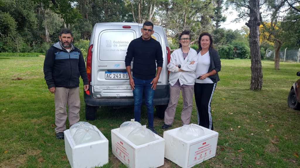 Junín avanza en la repoblación de pejerreyes en sus lagunas con la colaboración de diversos&nbsp;organismos