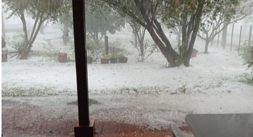 Granizo en Chivilcoy, Los Toldos y Salto. (Foto: X).