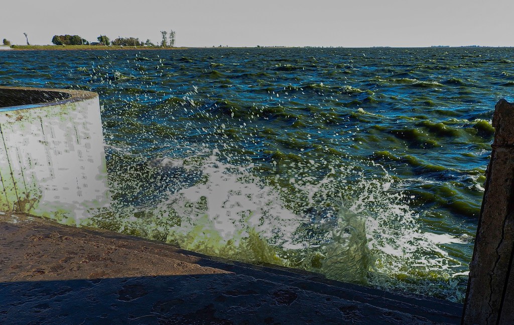 Impactante video muestra cómo volvió el agua a la Laguna de Gómez tras la&nbsp;sequía
