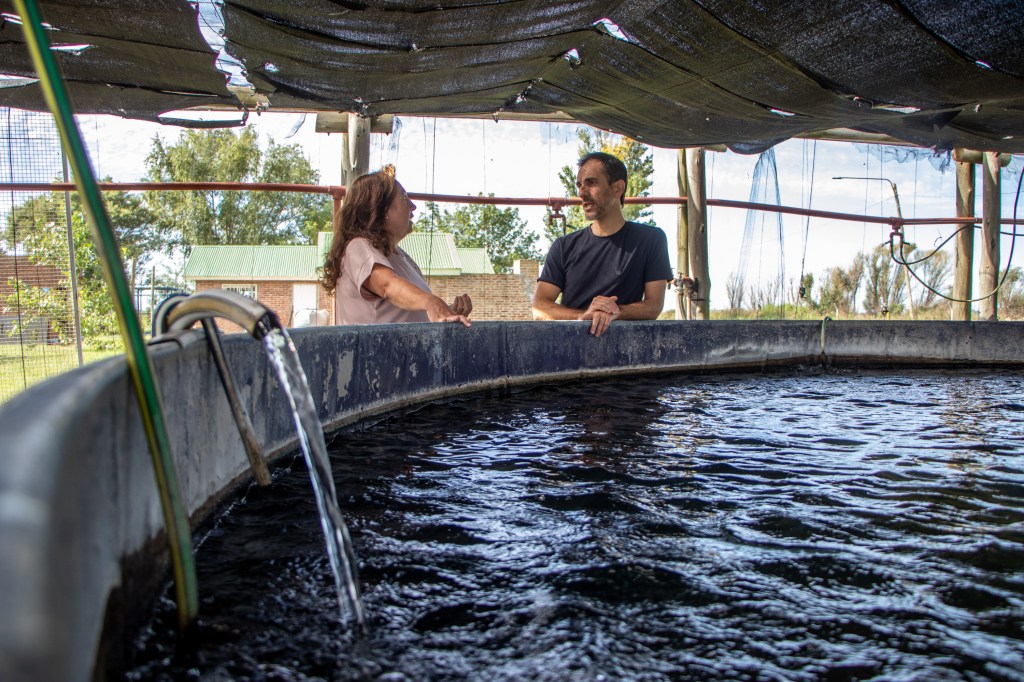 Junín siembra futuro: pese a la sequía, la Estación Hidrobiológica impulsó la repoblación del&nbsp;pejerrey