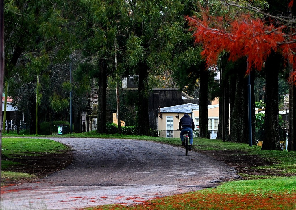 Junín se prepara para un fin de semana fresco y&nbsp;soleado