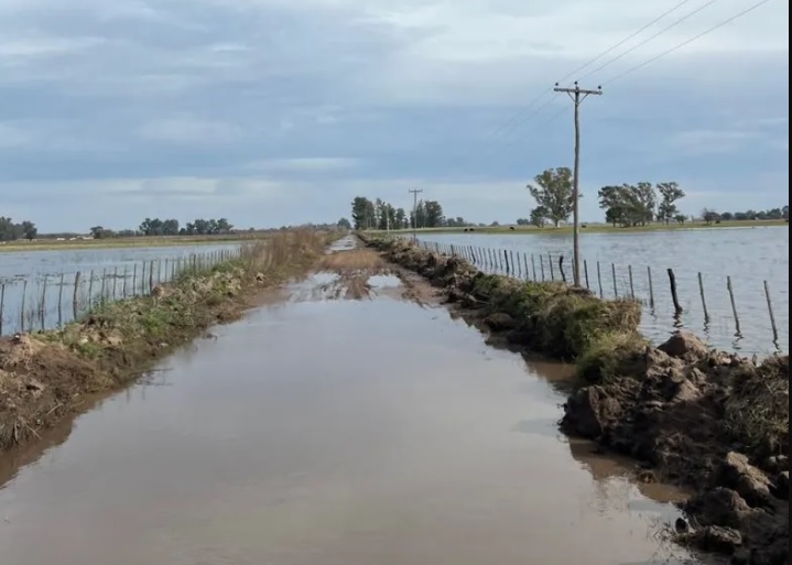 La Provincia destina más de 8 mil millones a obras hidráulicas en la región por las&nbsp;inundaciones