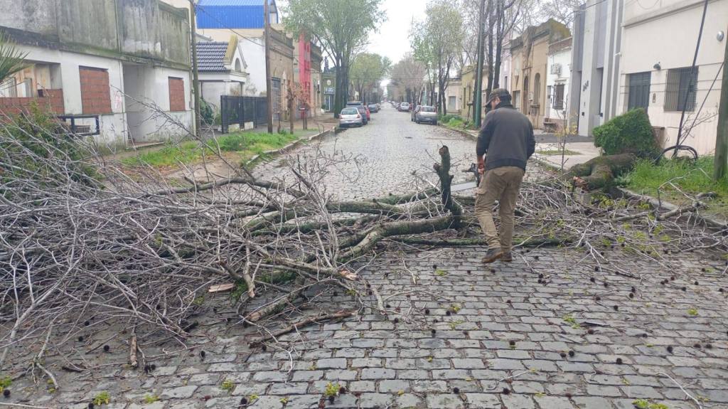 La tormenta de Santa Rosa dejó a Junín bajo alerta: lluvias, vientos fuertes, cables caídos y cortes de&nbsp;tránsito
