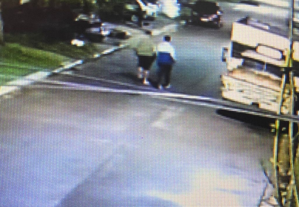 Junín: cayeron dos jóvenes acusados de destruir una cámara que vigilaba una zona «caliente» de venta de droga y&nbsp;delitos