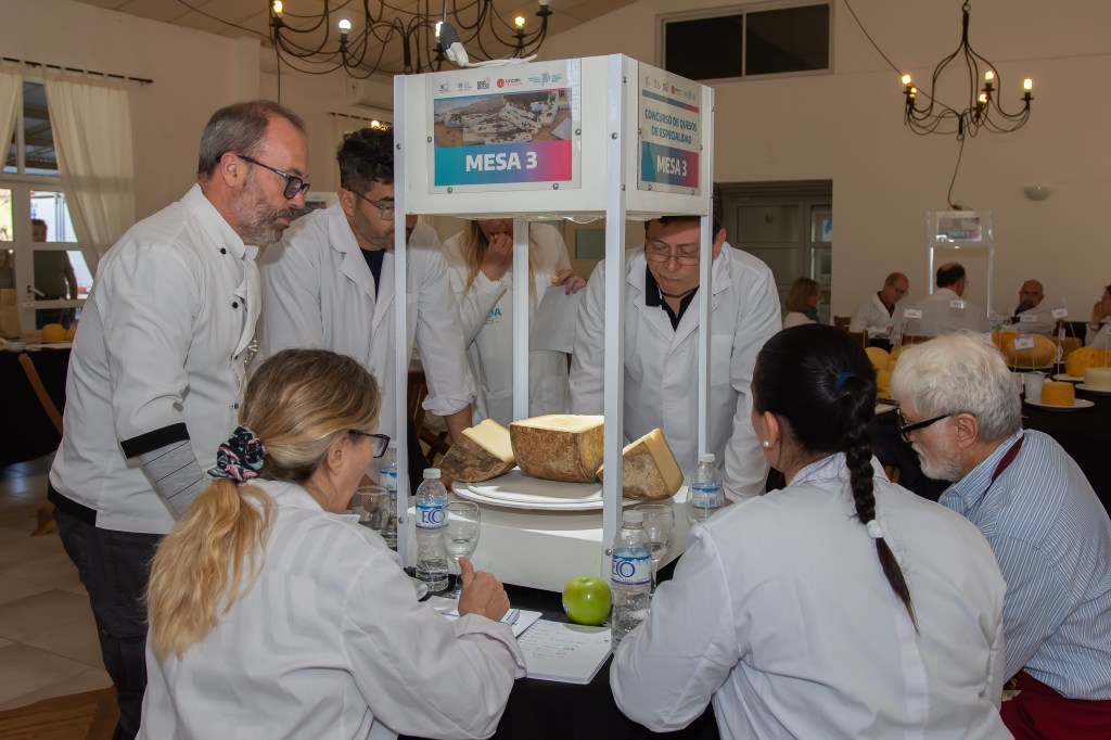 Expo Queso 2025 en Lincoln: estos son los ganadores del Concurso de Quesos de&nbsp;Especialidad