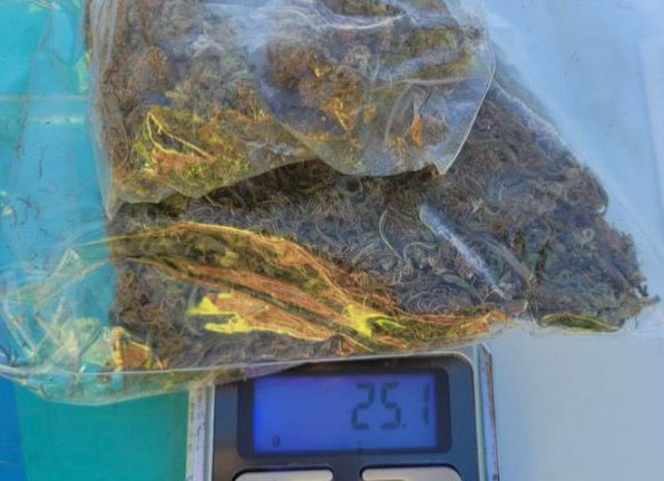 Operativos en Ruta 7: detienen a una mujer con pedido de captura por robo y secuestran marihuana en&nbsp;Junín