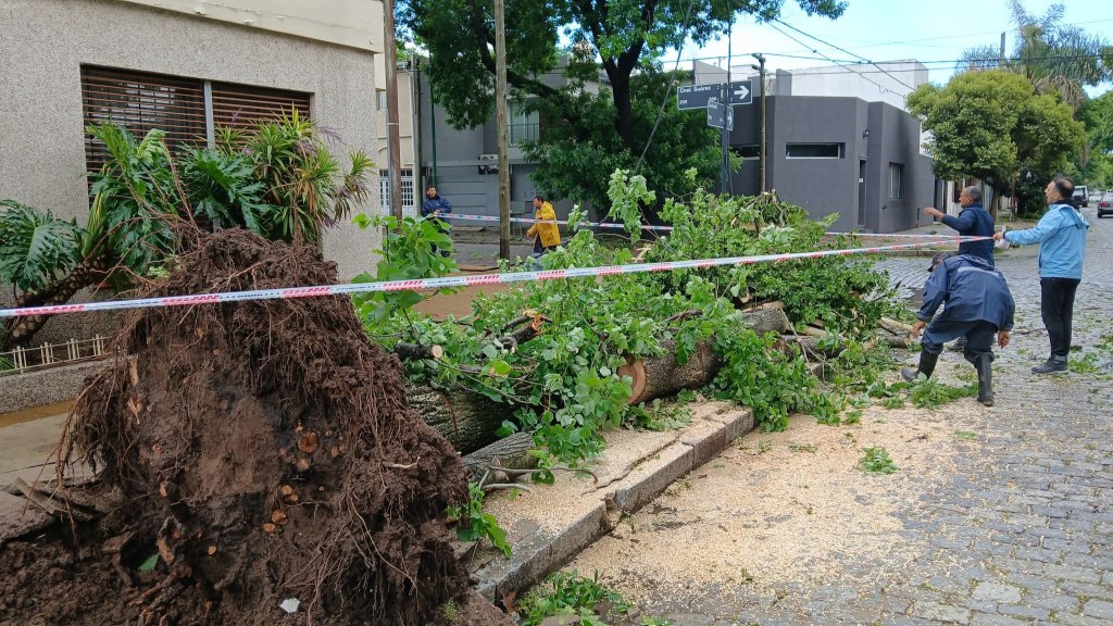 Cayeron más de 90 milímetros en Junín y continúan los trabajos tras el fuerte&nbsp;temporal