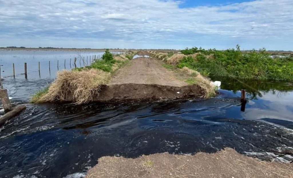 El agua no da tregua en el noroeste bonaerense: el campo paralizado, caminos cortados y miles de hectáreas bajo el&nbsp;agua