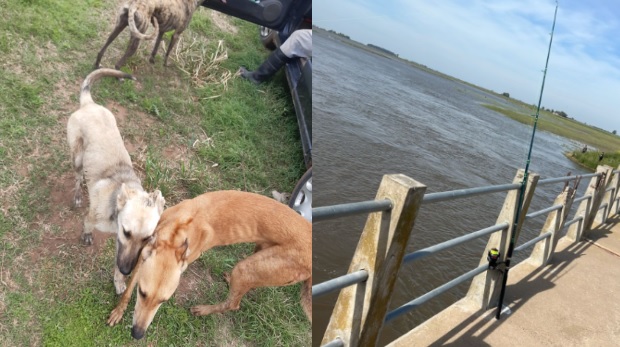 Cazadores furtivos y pesca ilegal: se labraron 26 infracciones en operativos rurales en&nbsp;Junín