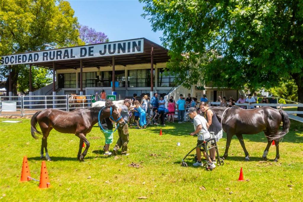 La Escuela de Equinoterapia cerró el año con una jornada que emocionó a las familias y reafirmó su valor inclusivo en&nbsp;Junín