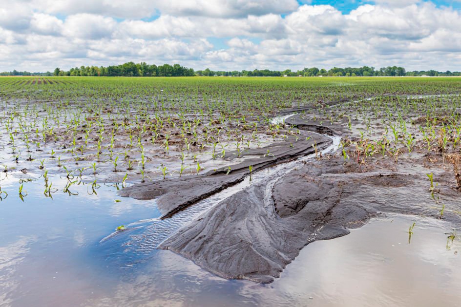 Inundaciones en Buenos Aires: la Provincia exime del Impuesto Inmobiliario Rural a productores de Junín y la&nbsp;región