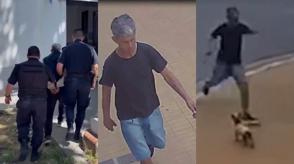 Video viral: detienen en Junín al hombre que pateó brutalmente al perro&nbsp;Brunito