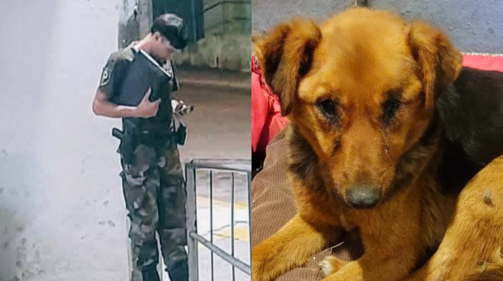 Rojas: detuvieron a un hombre acusado de maltratar y abusar de una perra en el&nbsp;basural