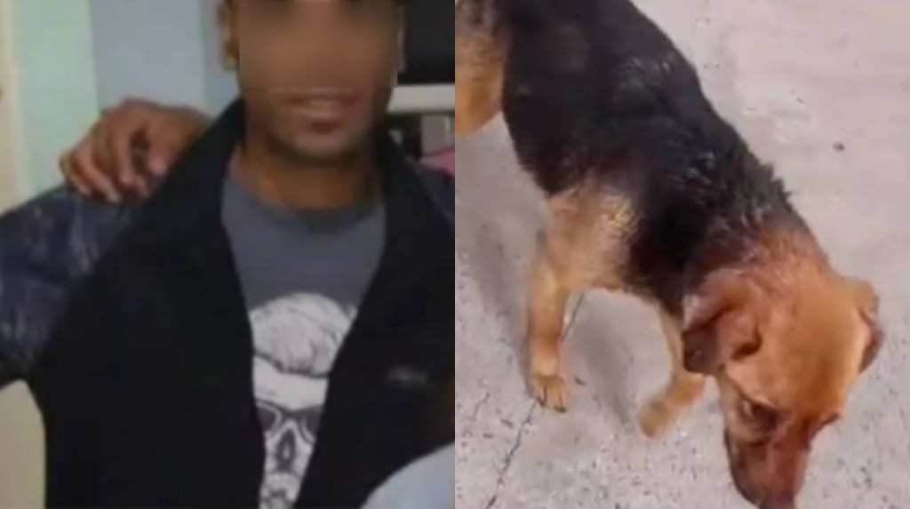 Quién es el hombre acusado de violar a una perra en&nbsp;Rojas